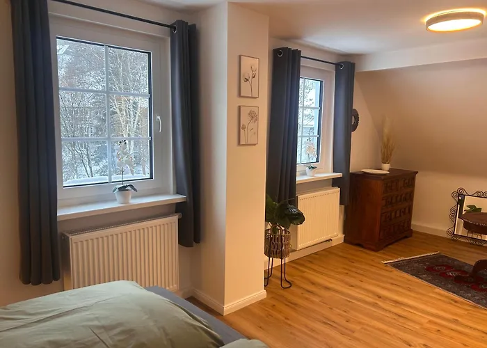 Apartamento !!! Fuer 6xpersonen, Terrasse, Garten, Hund Willkommen!!! Winterberg